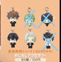 家庭教師ヒットマンREBORN！めじるしアクセサリー沢田綱吉