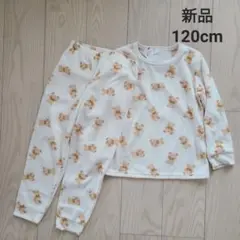 Item thumbnail for item 88ef4b8f-f3de-46de-acb1-7e144cad2600