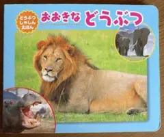 おおきなどうぶつ 絵本