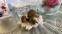 Item thumbnail for item 8063fbb9-113e-467e-b67a-2e268296e0ef