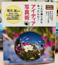 Item thumbnail for item 3e883e4e-f8b3-4b3b-abc6-6afdf3e8af0d