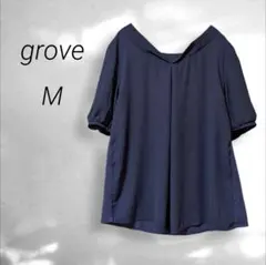 Item thumbnail for item e6da4986-0f32-4248-88c8-bebc1dbc8809