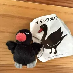 ブラックスワン ぬいぐるみキーホルダー　アフラック