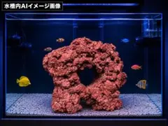 アク抜き待ち大特価　大きめ人工ライブロック7個　60cm水槽ぴったりセット アク抜きまち 人工ライブロック7個セット - メルカリ