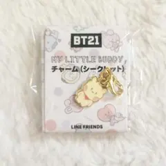 BT21　チャーム　ブラインド(シークレット)　RJ