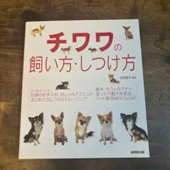 チワワの飼い方・しつけ方