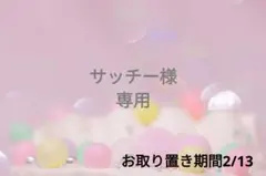 サッチー様❁⃘*.゜専用ページ