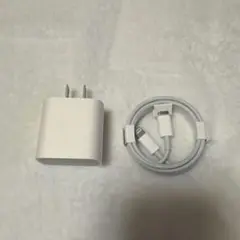 iPhone 純正lightningケーブル type-A