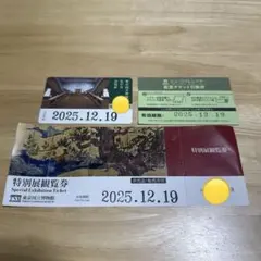 東京国立博物館 特別展観覧券　友の会会員証　ミュージアムシアター鑑賞チケット