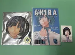 即購入不可】ヒカルの碁 原画展 キッチンカー 特典カード2枚セット