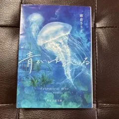 Item thumbnail for item b8fe491f-6b2e-4f2b-a387-34f9c695878c