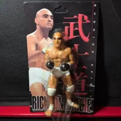 ヒクソン・グレイシー×フィギュア★コロシアム2000バージョン★PRIDE Amazon | キャラプロ ヒクソングレイシー フィギュア PRIDE プライド