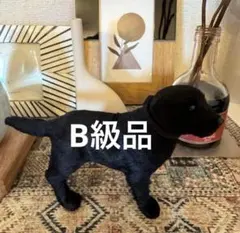 2026年最新】ラブラドールレトリバーの人気アイテム - メルカリ