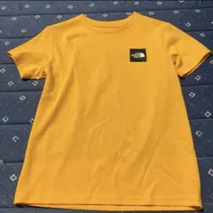 Item thumbnail for item c45ad5d5-9b6e-4f20-a675-cf5637f8bdf1