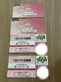 2026年最新】鷲ヶ岳 リフト券の人気アイテム - メルカリ