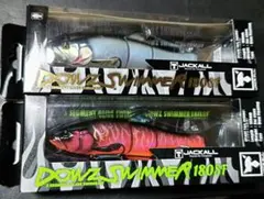 2025年最新】ダウズスイマー180の人気アイテム - メルカリ