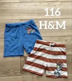 Item thumbnail for item 69a37d5c-d55e-4d7f-9719-d0e0e570c886