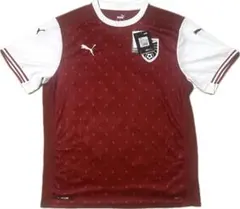 オーストリア　2022 サッカー　代表　ユニフォーム　プーマ　XL 新品未使用品 オーストリア 2022 サッカー 代表 ユニフォーム プーマ XL 新品未使用