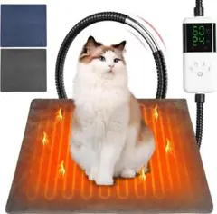 Item thumbnail for item 818753f1-5c59-42be-976f-d96626c41b22