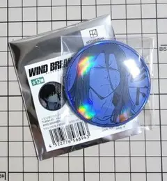WINDBREAKER　ホログラム缶バッジ　杉下 京太郎