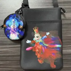 ディズニー　ミッキー　チップ&デール ポシェット ポーチ