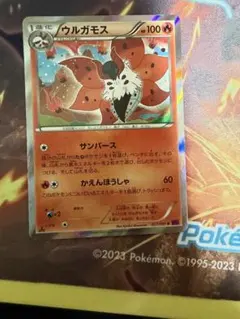 ウルガモス R XY7 バンデットリング 017/081