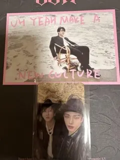 straykids DOIT 限定盤　封入ユニットトレカ チャンビンポストカード