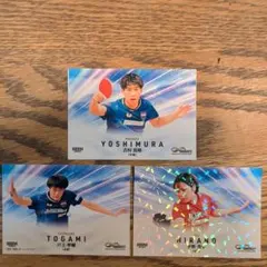 Item thumbnail for item f90a2e93-32a6-4ebf-8a73-dc9e5555bd2f