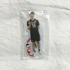 バレー男子日本代表 モバガチャ 2024 BIGアクスタ 石川祐希 - メルカリ