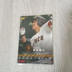 Item thumbnail for item 34b1b7e1-d6a3-4442-89ed-c6b9b9ba725f