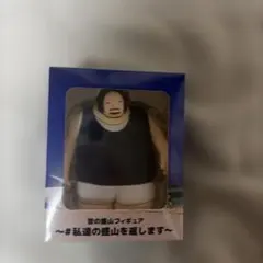 見取り図 昔の盛山フィギュア 私達の盛山返します 水曜日の