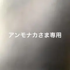 アンモナカさま専用5こ