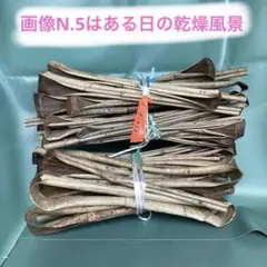 Item thumbnail for item ba3860b3-9861-4b8f-8b88-869fab7c46f7