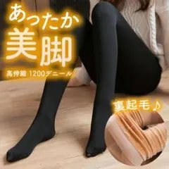 透けて見える フェイク ストッキング風 極暖 ブラック 裏起毛 黒色 タイツのサムネイル