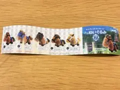 サラブレッドコレクションぷちぬいぐるみ