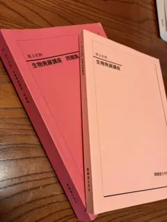 平沢進 VIDEO 平沢三幕三時間 ERROR ENGINE 上下巻セット - メルカリ