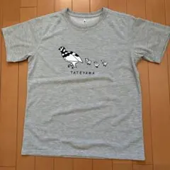 モンベル立山限定Tシャツ⭐︎雷鳥 M
