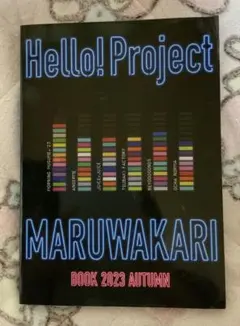 Item thumbnail for item b3c2f215-fce9-4ed2-a860-0266192f3b04