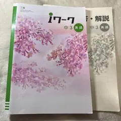 Item thumbnail for item c9881df7-4e2e-45bd-b57b-c558fa6826c7