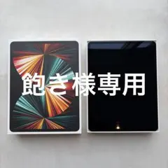 iPad Pro 第5世代, Apple Pencil 第2世代セット