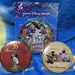 ディズニーリゾート公式　35周年セレブレーション缶バッチ3つセット