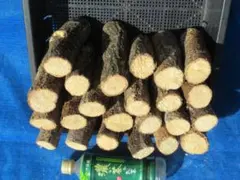 Item thumbnail for item 8000d20c-9386-4aa3-b744-b2f0b185e048