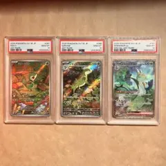 PSA10連番】早い者勝ち マスカーニャ ポケモンカード 引退品 P104