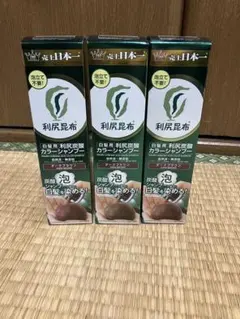 利尻昆布 利尻炭酸カラーシャンプー〈ダークブラウン〉180g - メルカリ