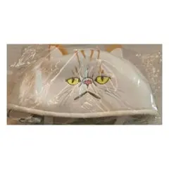 Item thumbnail for item c9df10cd-575c-4203-bbae-69880c825c8c