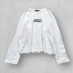 f1237【イング】クルーネックプリントTシャツ　刺繍　長袖　レディース　綿