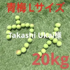 60 tama様 青梅 2Lサイズ 20kg - メルカリ