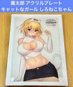 魔太郎 キャットなガール しろねこちゃん アクリルプレートのサムネイル