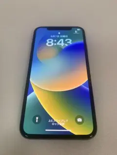 Apple iPhone X. 256GB