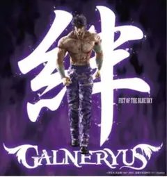 GALNERYUS 絆 (Kizuna) CD